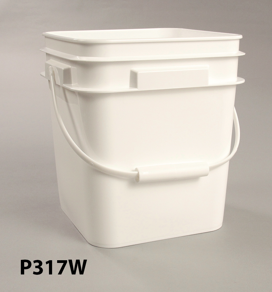 P317W-3e
