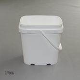 P7106-2e-tn