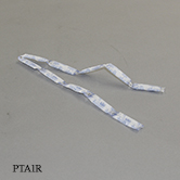 PTA1R-1e-tn.jpg