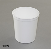 T069-1e-tn
