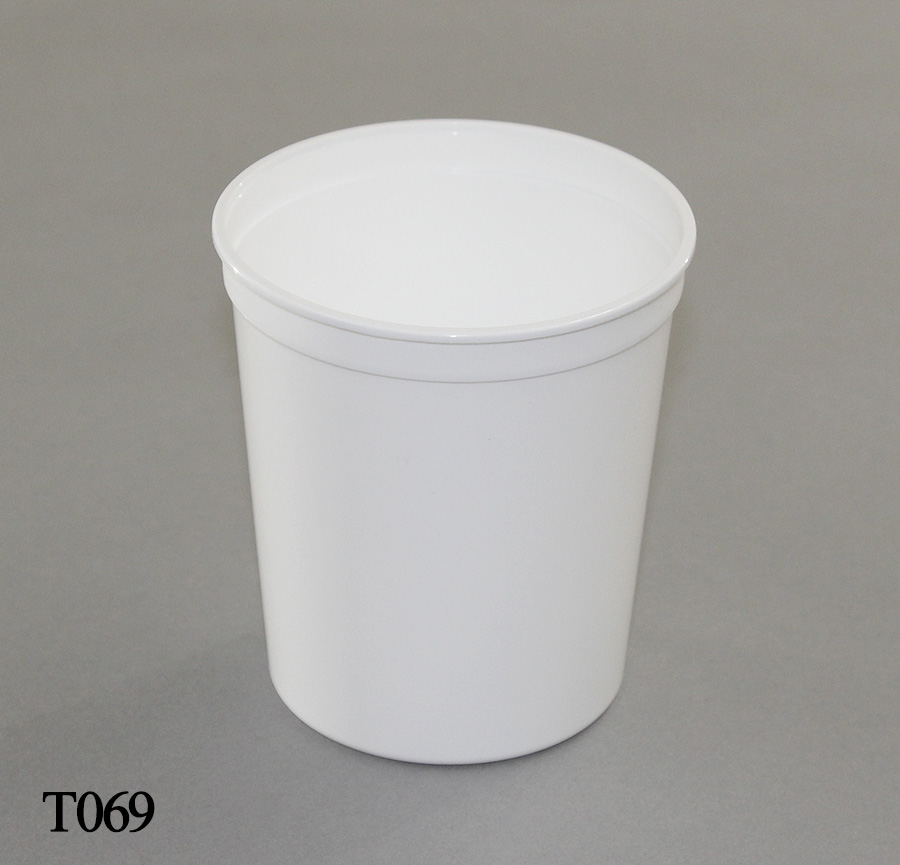 T069-1e