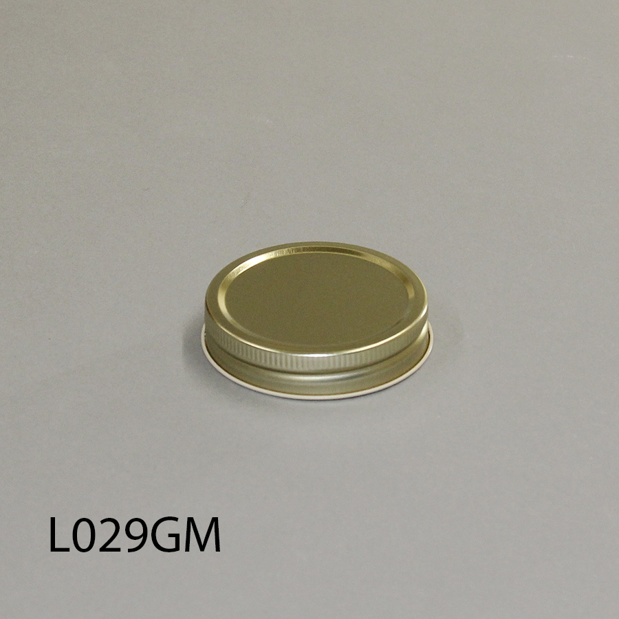 L029GM-2e