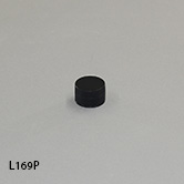 L169P-2e-tn