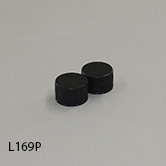 L169P-e-tn